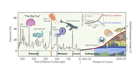 Big Five Extinction Timeline Image Eurekalert Science News Releases