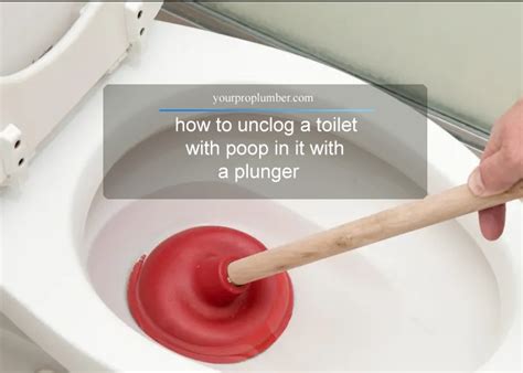 How To Unclog A Toilet With Poop In It Katynel