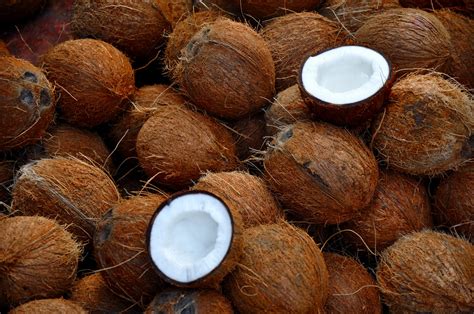 The Coconuts Amit Rawat Flickr