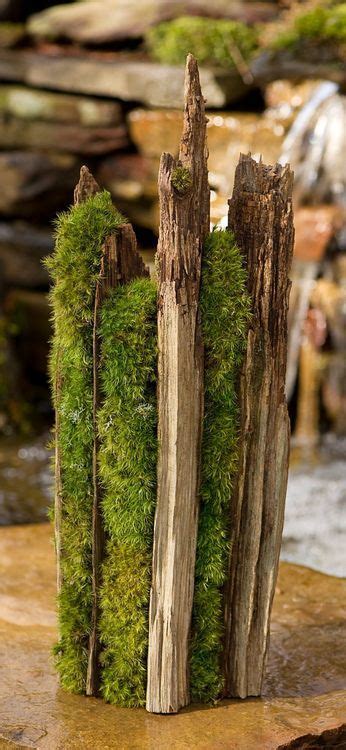 Tumblr Moss Garden Growing Moss Garden Stones