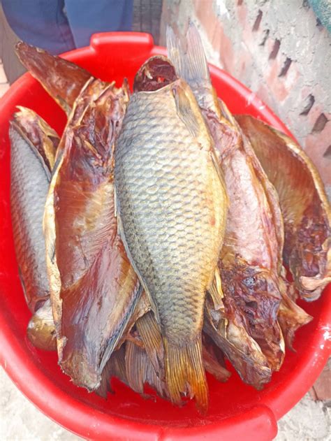 Pește Afumat La Rece Cu Lemn Natural Crap Fitofag Tolstolob 250