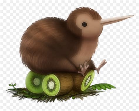 Transparent Kiwi Bird Png Kiwi Bird Drawing Cute Png Download
