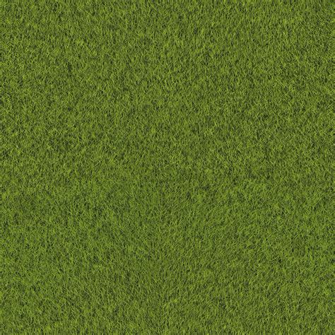 10 Grass Texture By Armandina Fusco Grass Textures Grass Texture