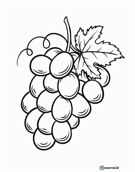 Detail Gambar Anggur Untuk Diwarnai Koleksi Nomer 4
