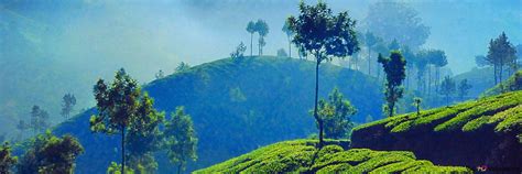 Coorg Wallpapers Top Free Coorg Backgrounds Wallpaperaccess
