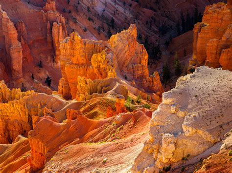 Nathan Wotkyns Photography Deserts Golden Gulch