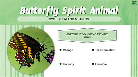 Butterfly Spirit Animal Symbolism And Meaning A Z Animals