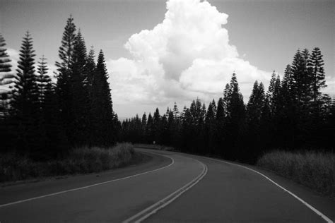 Free Images Tree Cloud Black And White Morning Highway Driving
