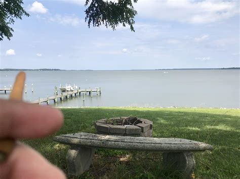 The Bench [EASTERN SHORE MD] : r/trees