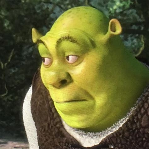 Shrek Shocked  Shrek Shocked Ohno Discover Share S Shrek Images