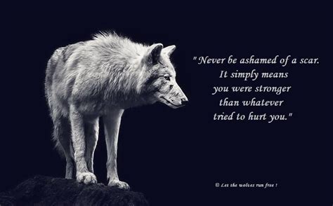 Wolf Sanctuary On Twitter Lone Wolf Quotes Wolf Quotes Warrior