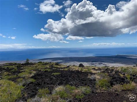 Things To Do In Hawaii Volcanoes National Park In One Day Big Island