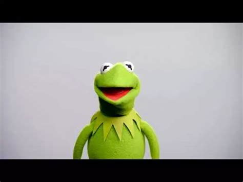 Fairfields Matt Vogel Makes His Worldwide Debut As Kermit The Frog