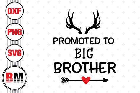 Promoted To Big Brother Svg Png Dxf Files By Bmdesign Thehungryjpeg Com