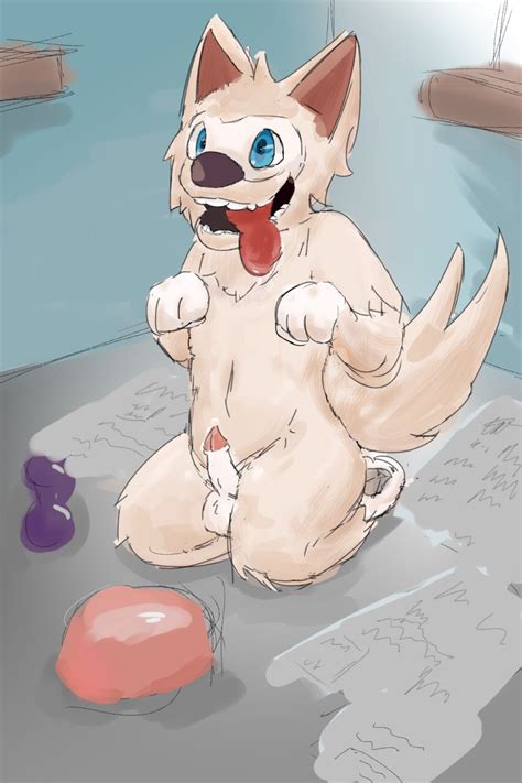 Rule 34 Canine Male Only Penis Tagme Wolf Zabivaka 2182845