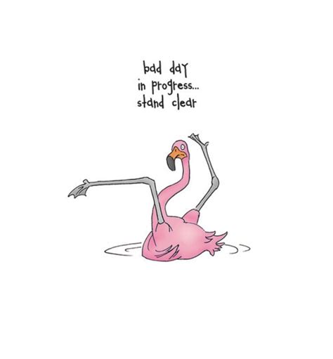 Pin By Karen Schamberger On Flamingos In 2022 Flamingos Quote Funny