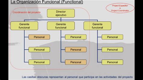 Organigrama Funcional Que Es Caracteristicas Ventajas Desventajas Y Mas Sexiz Pix