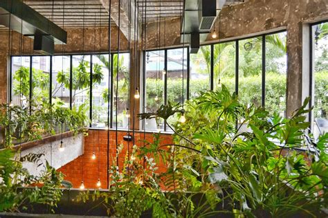 Indoor Gardening And Urban Farming