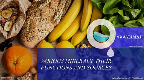Minerals In Food Facts