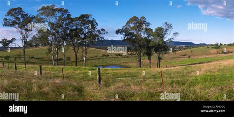 Clarence Town Nsw Australia Stock Photo Alamy