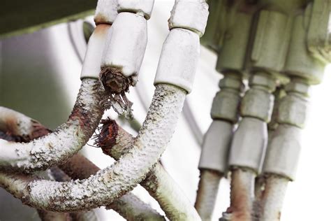 Heavy Machinery Fires Caused by Hydraulic Hose Failures | Warren Forensics