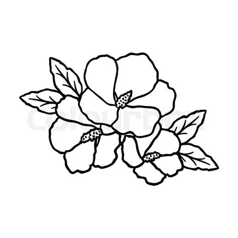 Stock Vector Of Rose Of Sharon Icon In Outline Style Isolated On White