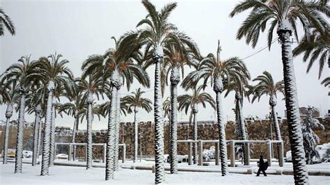 Will It Snow In Florida Weather System Brings Chance