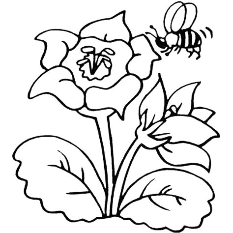 Bees are one type of insect that is very unique and interesting. Bee Coloring Pages