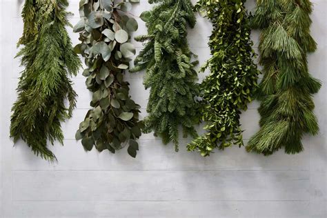 Your Guide To 8 Types Of Lasting Greenery For Holiday Decorating