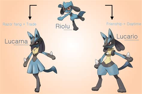 Lucario is a fighting/steel pokémon found wild in unova, and evolved from riolu in pokemmo. Fake evolution's Riolu by venenumtoxic on DeviantArt