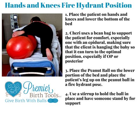 Our Position Of The Month Is Premier Birth Tools Llc