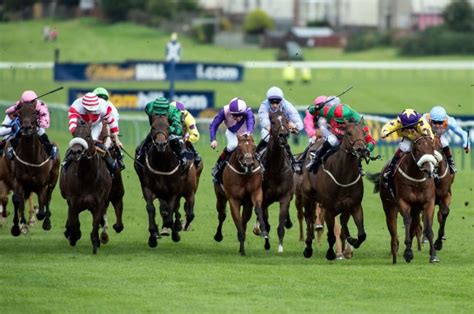 Ayr Gold Cup Live Stream Watch The Ayr Race Live