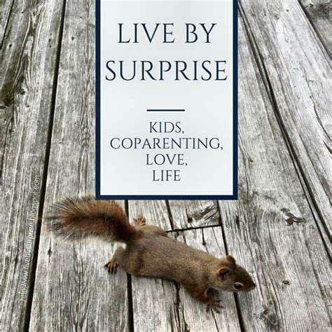 Recipe For A New You After Divorce - Lisa Thomson~Author ...