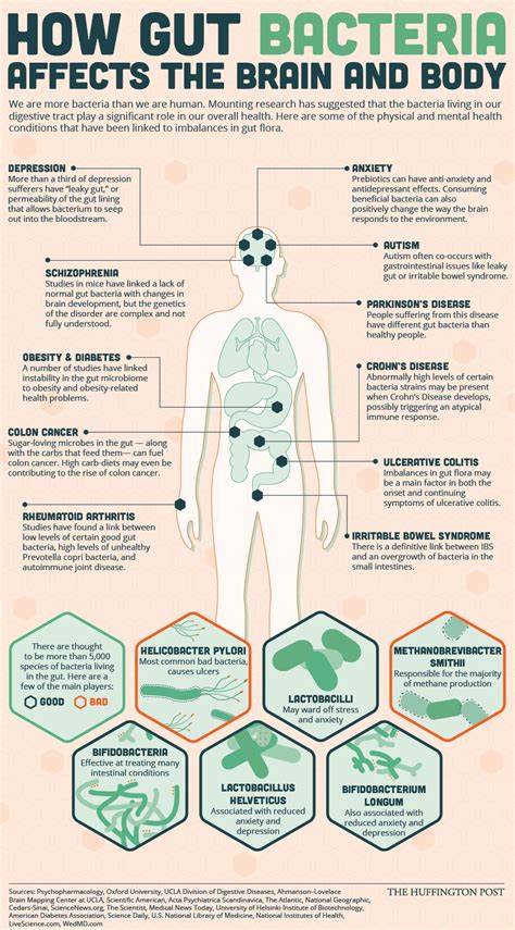 In conclusion, it is good to know that the good bacteria are beneficial to both young and old. Good vs Bad Bacteria in the Gut | Allergies & Your Gut