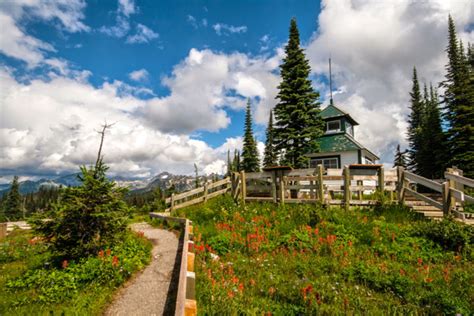 100 Years Of Bliss At Mount Revelstoke Vacayca