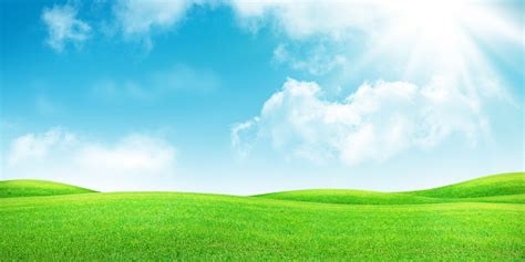Green Grass Field And Clear Blue Sky Stock Photo Download Image Now