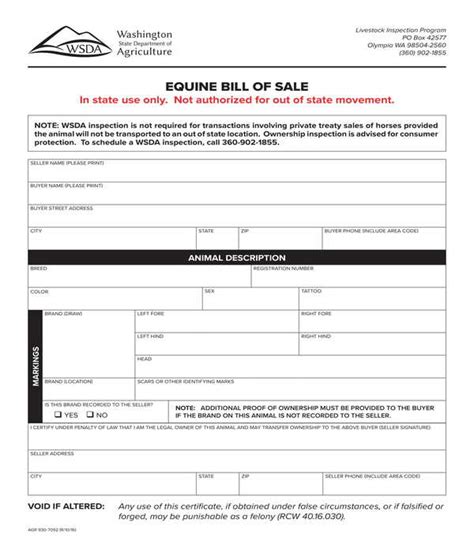 Free 6 Horse Bill Of Sale Forms In Pdf Ms Word