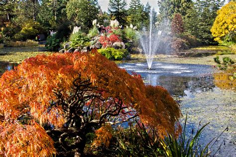 Vandusen Botanical Garden Muratgu Flickr