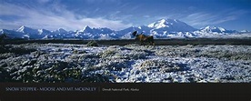 MANGELSEN - Images of Nature Gallery | Nature images, Nature ...