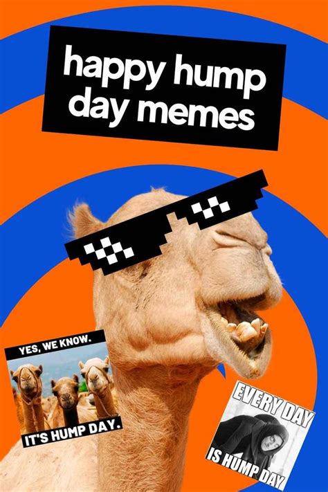Hump Day Memes To Help You Laugh Thru Wednesday Hump Day Hump Day Meme Funny Hump Day Memes