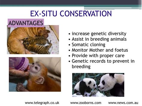 A Level Biodiversity And Conservation Methods Of Protecting