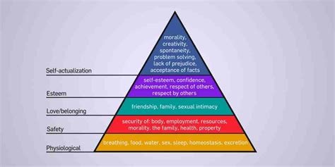Maslows Hierarchy Of Basic Human Needs Rnpedia