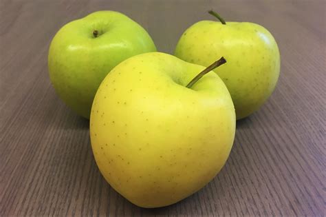 Common Apple Varieties For Snacking Baking And More Stauffers