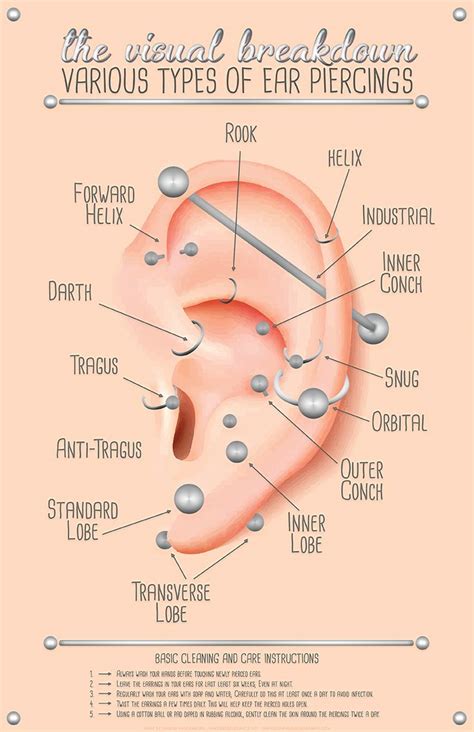 Ear Piercing Chart Ear Piercings Chart Ear Piercings Rook Piercing