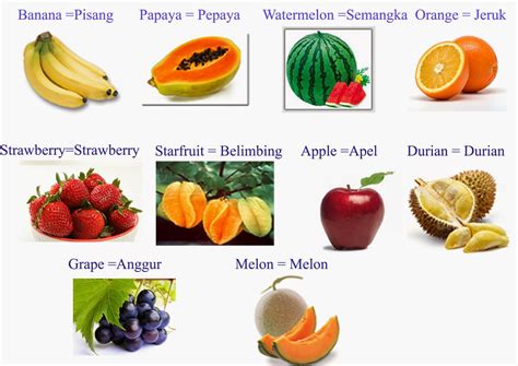 Gambar Belajar Mengenal Buah Buahan Bahasa Inggris Learning Fruits