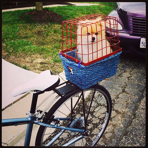 Dog Bicycle Seat Basket Crate Made Our Own Dog Bike Seat So