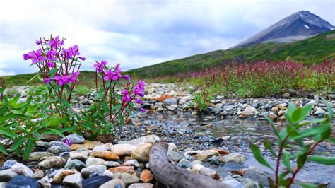 Landscape Beauties Of Nature Stream Gravel Gravel