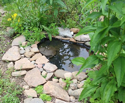 How To Make A Birdbath Water Feature For Backyard Garden Get Creative