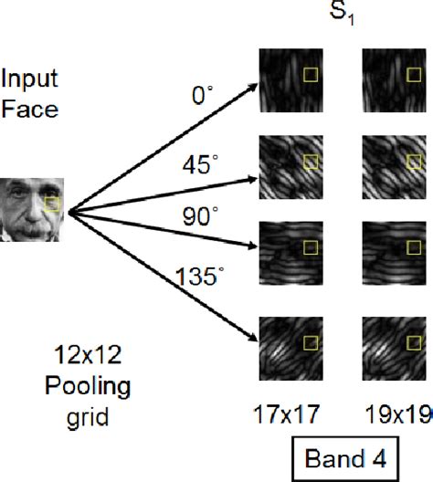 Figure 3 From Human Age Estimation Using Bio Inspired Features