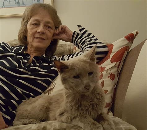 beloved 19 year old cat reunited after shock disappearance inyourarea community